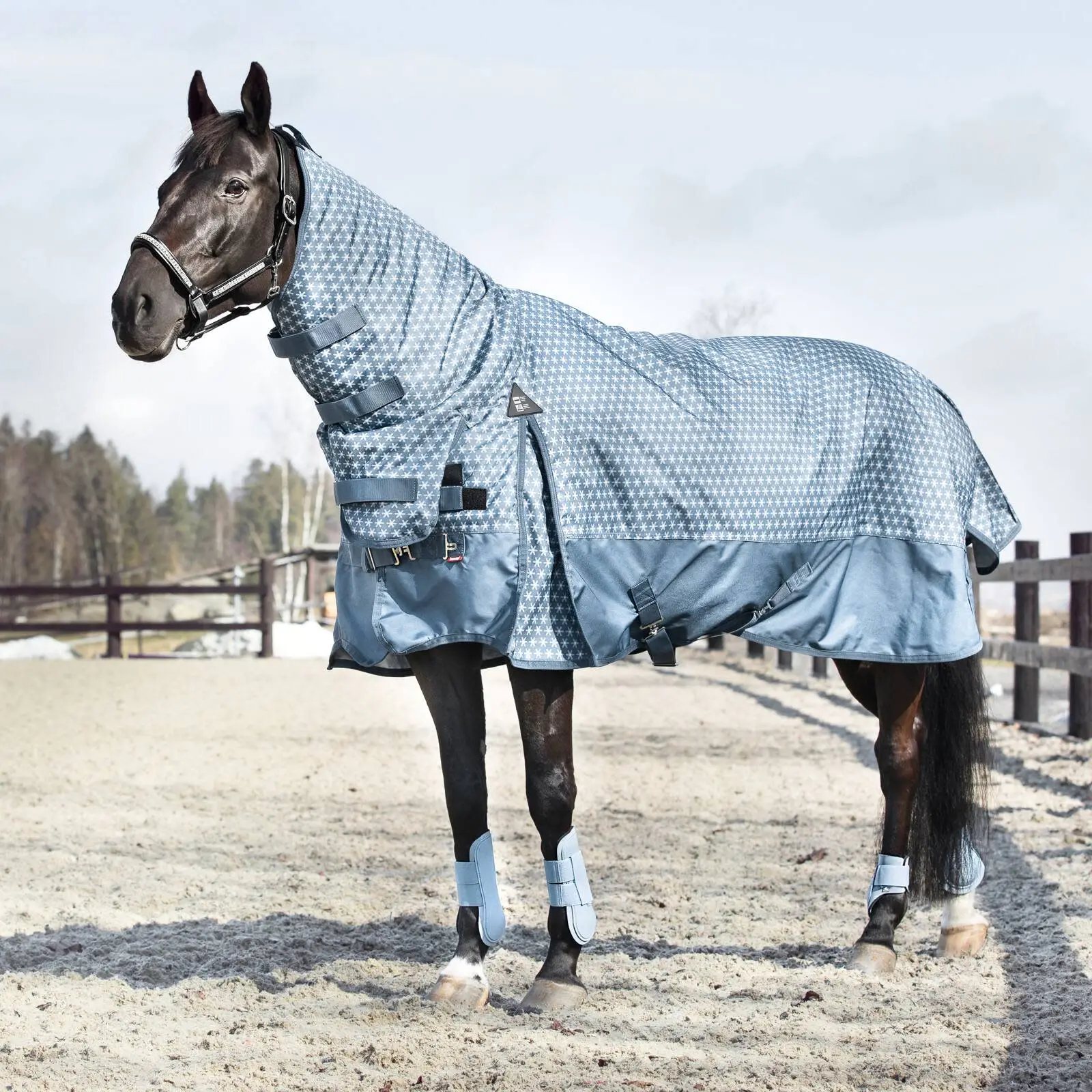 Horze Chicago Tendon Open Front Horse Boots - Cashmere Blue 4 Horze Chicago Tendon Open Front Horse Boots - Cashmere Blue - Image 2