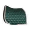 B Vertigo Evolve Dressage Pad With Anti Slip Padding - Jungle Green 1 B Vertigo Evolve Dressage Pad With Anti Slip Padding - Jungle Green -Equinavia Shop 0d3ba27a de56 4306 a006 9b9eda356fba17455 JGR 7dec3441956e2545c29d5b6cf7bba675c36ead4b 2