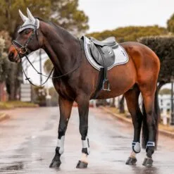 Horze Wicklow Jump Shaped Pad - Harbour Mist 9 Horze Wicklow Jump Shaped Pad - Harbour Mist -Equinavia Shop 144d1de7 adc7 430c ae8e 13efa801d4dc17429 HMGY 9113cf3de9c2ecc500d14688e9725a94a0baaec9