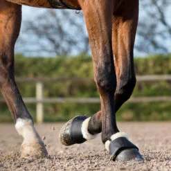 Horze Signature Bell Boots - Black 25 Horze Signature Bell Boots - Black -Equinavia Shop 1df8a9a1 9144 4a48 b38b b0b96f54dd9e19722 BL 3cea4143cc57236f56d72355ecacfe2dc9388757