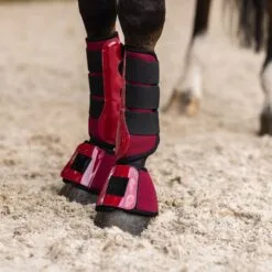 Horze Smoky Twilight Air Mesh Bell Boots - Anemone Dark Pink 14 Horze Smoky Twilight Air Mesh Bell Boots - Anemone Dark Pink -Equinavia Shop 22e7381b b7e4 4bea b78e 735cf675bf9119786 ADPI 1527568bd3dd16195143d764b98552ee133f02e2