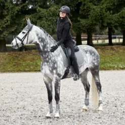 Horze Adepto Dressage Saddle Pad - Steel Grey -Equinavia Shop 23a3f0df bd41 4e5d 8db8 0519174022e517353 SG 50aa6f74f4529c7999a5e175afb8a9332a111e97