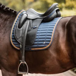 B Vertigo Quinn Dressage Saddle Pad - Dark Navy -Equinavia Shop 26de13ee 535e 4bde a230 1cae68b15fb017437 VDB 40a612d96688fd89b6fa97d437ea379079d6f13a