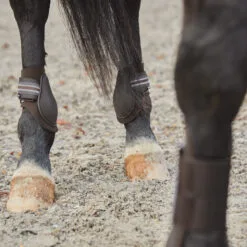 Horze Adepto Fetlock Boots - Dark Brown 19 Horze Adepto Fetlock Boots - Dark Brown -Equinavia Shop 28b24d31 10f0 4099 940e 11938b6dac9919213 DBR 36b729c6b7cf6d2dae0f8cca200af0d96878e118