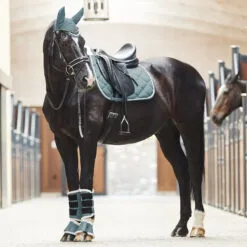 Horze Ghent Quick Dry Dressage Saddle Pad With Faux Fur - Arctic Blue 11 Horze Ghent Quick Dry Dressage Saddle Pad With Faux Fur - Arctic Blue -Equinavia Shop 32999eb8 e3a1 47e7 80d0 d05f5e4ddfdc17416 ALB 4c05669ef746d44acc7e2018bb173979d1cb9d25
