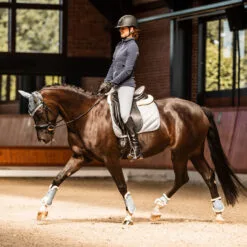 Horze Victoria Dressage Saddle Pad - Tradewinds Grey -Equinavia Shop 368a2e9d 37e9 466c a3e3 b0c8b9859cd517430 TWG 7e02d80b063afddd72f28c09b0be219f891fd874