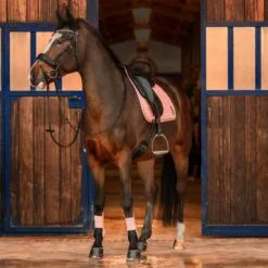 Horze Trixi Pony All Purpose Saddle Pad - Shrimp Pink -Equinavia Shop 37e9f9b5 502a 41f6 988d 59682c43d6c117441 SPPI 4fbd5929f104b20e98f5d09e8166be70e5c58b65