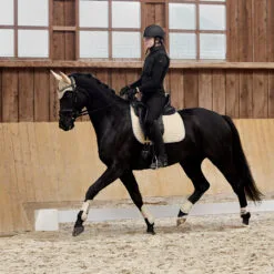 Horze Adepto Dressage Saddle Pad - Safari Brown 22 Horze Adepto Dressage Saddle Pad - Safari Brown -Equinavia Shop 3a3039eb f4c5 41b4 ae60 9d201eddbdc617353 SBR c46ce0b0d3ae30401b0d1bc3fd8bcf9cd4d72f60