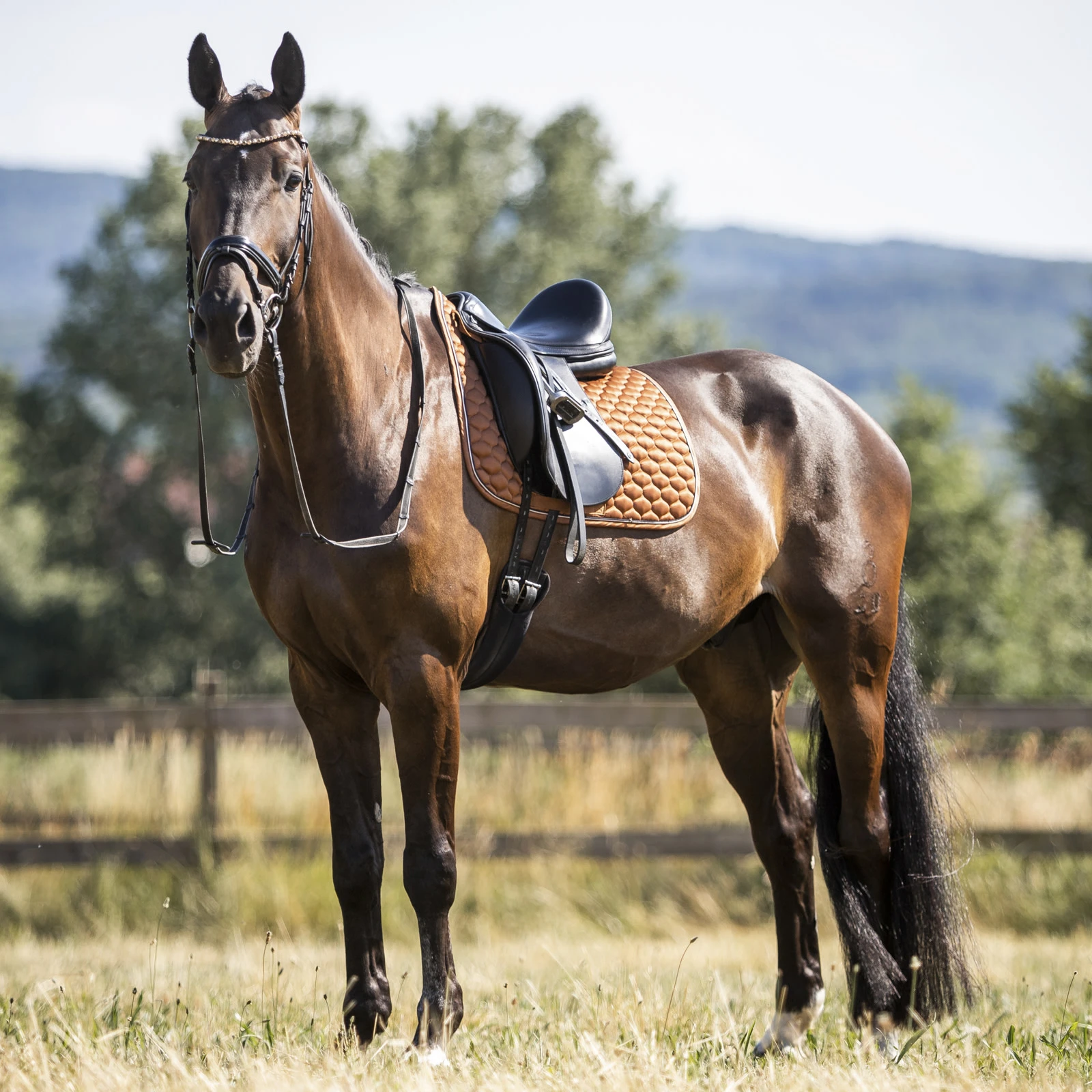 Horze Sandnes Dressage Saddle Pad - Caramel Cafe 4 Horze Sandnes Dressage Saddle Pad - Caramel Cafe - Image 2