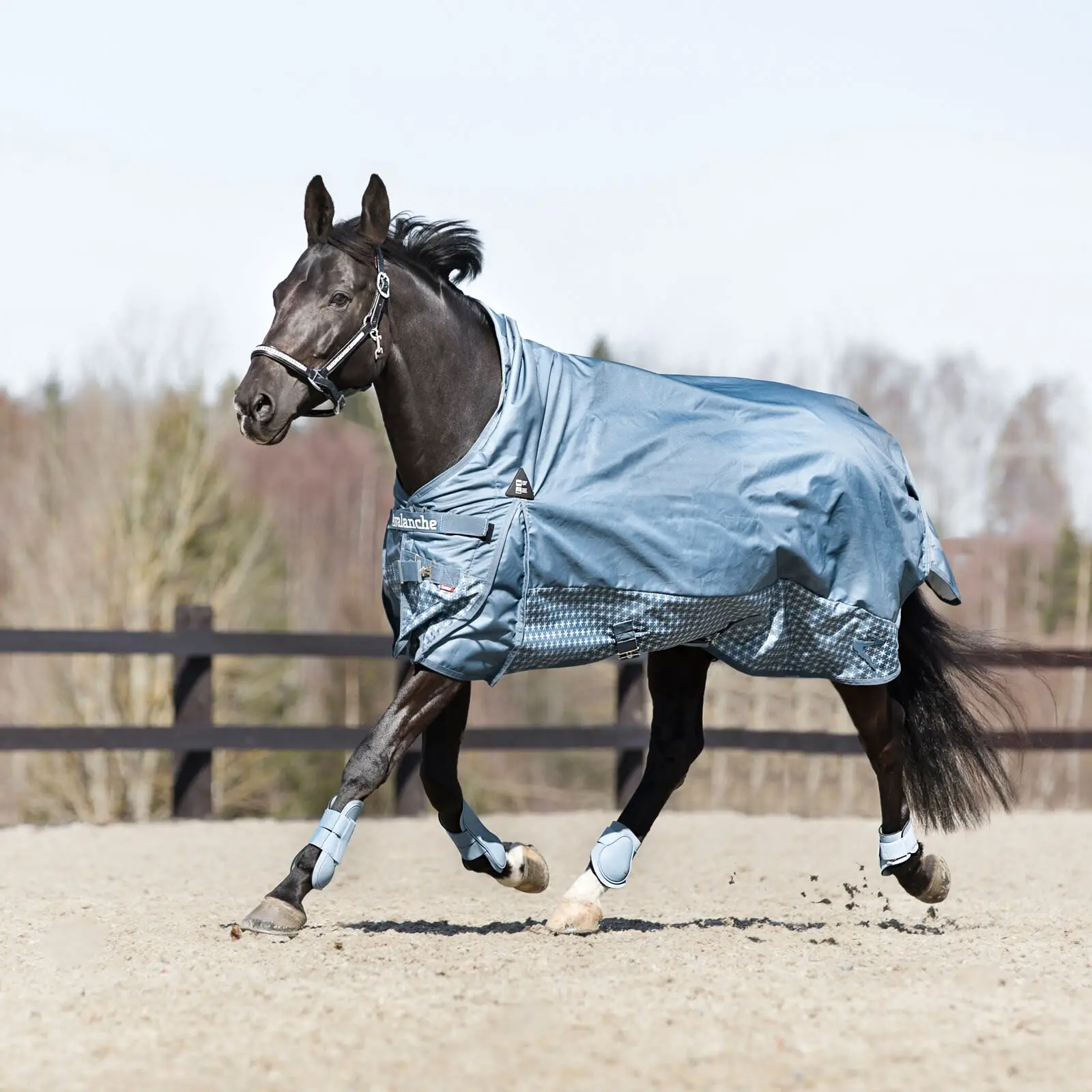 Horze Chicago Tendon Open Front Horse Boots - Cashmere Blue 6 Horze Chicago Tendon Open Front Horse Boots - Cashmere Blue - Image 4