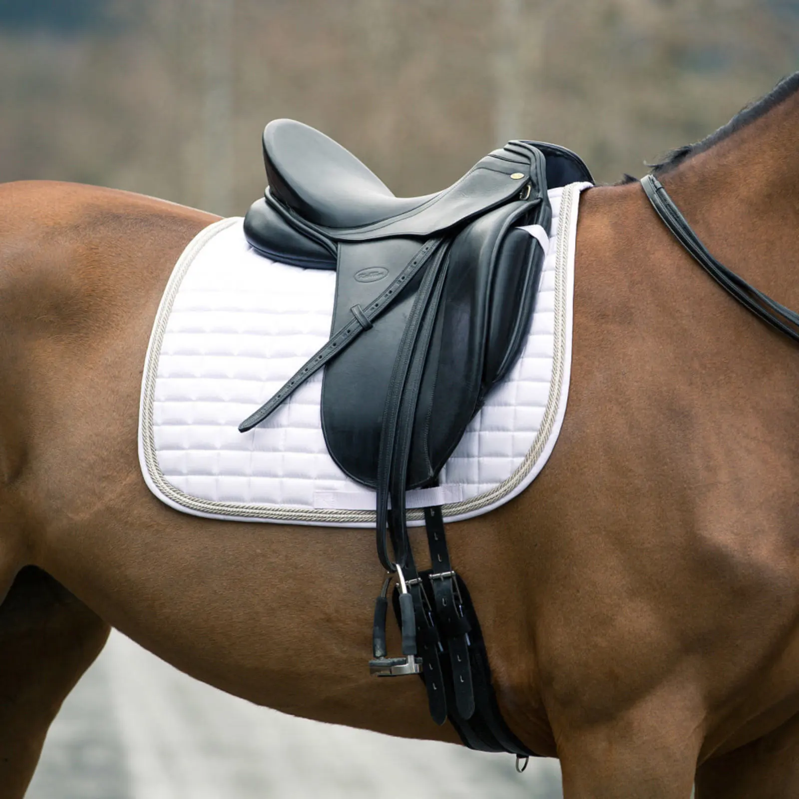 Horze Windsor All Purpose Saddle Pad - White 4 Horze Windsor All Purpose Saddle Pad - White - Image 2