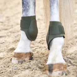 Horze Adepto Fetlock Boots - Beetle Khaki Green 24 Horze Adepto Fetlock Boots - Beetle Khaki Green -Equinavia Shop 49bee903 a9ba 41bd 96d2 eae8e6605c2519213 BKGR 2beeedf6dedc166b2d1e32ee72fe32ffe27e02aa