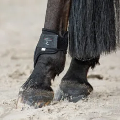 Horze Armour Airflow Tendon & Fetlock Boot Set - Black -Equinavia Shop 4ff5f25c 4562 40e5 bb75 fdd0d7672cb519179 BL 34eb6dcb5de157bf114ec3196ef3b19f21028815