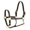 Equinavia Valkyrie Triple Stitched Leather Halter - Chocolate Brown 1 Equinavia Valkyrie Triple Stitched Leather Halter - Chocolate Brown -Equinavia Shop 540570 800 800