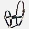 Equinavia Pegasus Ribbon Breakaway Halter - Blue/Geen Polka Dots 1 Equinavia Pegasus Ribbon Breakaway Halter - Blue/Geen Polka Dots -Equinavia Shop 545212 800 800