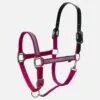 Equinavia Pegasus Ribbon Breakaway Halter - Pink/Blue Preppy Stripe -Equinavia Shop 545220 800 800