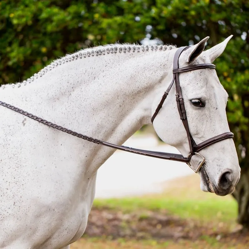 Equinavia Valkyrie Fancy Stitched Hunter Bridle W/Reins - Chocolate Brown 4 Equinavia Valkyrie Fancy Stitched Hunter Bridle W/Reins - Chocolate Brown - Image 2