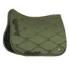 B Vertigo Laurel Quick Dry Dressage Saddle Pad - Wild Grass Green -Equinavia Shop 554e47dd ea9e 4f28 bd8c 7bb7d9de186817399 WGGR be9400cfc1494416dea9d1027681a5b5c60f4e0f 2
