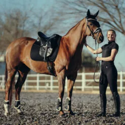 Horze Phoenix Dressage Saddle Pad - Black 11 Horze Phoenix Dressage Saddle Pad - Black -Equinavia Shop 55fbb988 a93e 4e09 bfac 8b1c4fe0b81917295 BL dbf9ee8a33d1ea6ce8038ae74b053fa5e4f2ae75