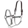 Equinavia Loki Breakaway Halter - Silver Sconce Gray 2 Equinavia Loki Breakaway Halter - Silver Sconce Gray -Equinavia Shop 597128 800 800