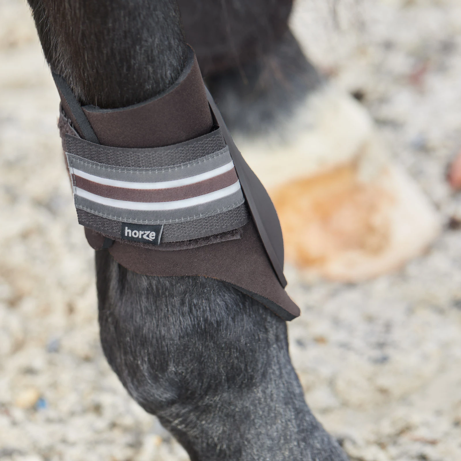 Horze Adepto Fetlock Boots - Dark Brown 6 Horze Adepto Fetlock Boots - Dark Brown - Image 4