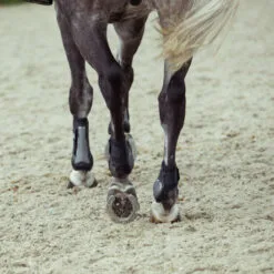 Horze Impact Air Shock Fetlock Boots - Black -Equinavia Shop 5f5f7f08 94e3 4372 acc4 df514f7306bb19244 BL fd81f7b4d8c98cf32be1b56ff0d551372ab91b8e