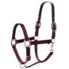 Equinavia Loki Breakaway Halter - Wine Red -Equinavia Shop 602186 800 800