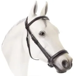 Equinavia Valkyrie Wide Noseband Hunter Bridle W/Reins - Chocolate Brown 11 Equinavia Valkyrie Wide Noseband Hunter Bridle W/Reins - Chocolate Brown -Equinavia Shop 608004 800 800