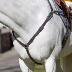 Equinavia Valkyrie Elastic Breastplate - Chocolate Brown -Equinavia Shop 608056 800 800