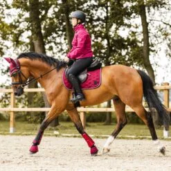 Horze Smoky Twilight Air Mesh Brushing Boots - Anemone Dark Pink -Equinavia Shop 64db47ec f666 42da afc3 59578b4ff0c519276 ADPI 9d15bcf0855875dc1ce2979395a6f1a964f4a16b