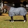 Equinavia Arktis Regular Neck Turnout Sheet - Carbon Gray -Equinavia Shop 677726 800 800