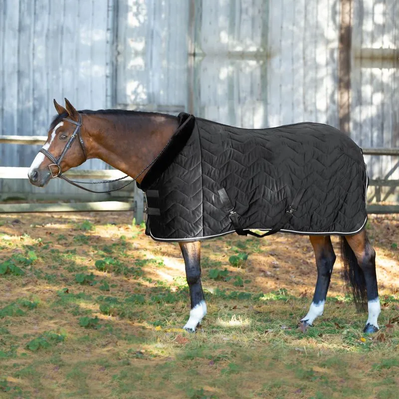 Equinavia Luksus Premium Cooler - Black 3 Equinavia Luksus Premium Cooler - Black