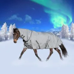 Equinavia Thunder360 Detachable Neck Turnout Sheet - Pewter Gray 6 Equinavia Thunder360 Detachable Neck Turnout Sheet - Pewter Gray -Equinavia Shop 678037 800 800