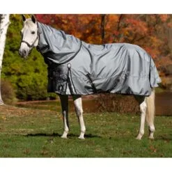Equinavia Thunder360 Detachable Neck Heavy Weight Turnout Blanket 300g - Pewter Gray 6 Equinavia Thunder360 Detachable Neck Heavy Weight Turnout Blanket 300g - Pewter Gray -Equinavia Shop 678057 800 800