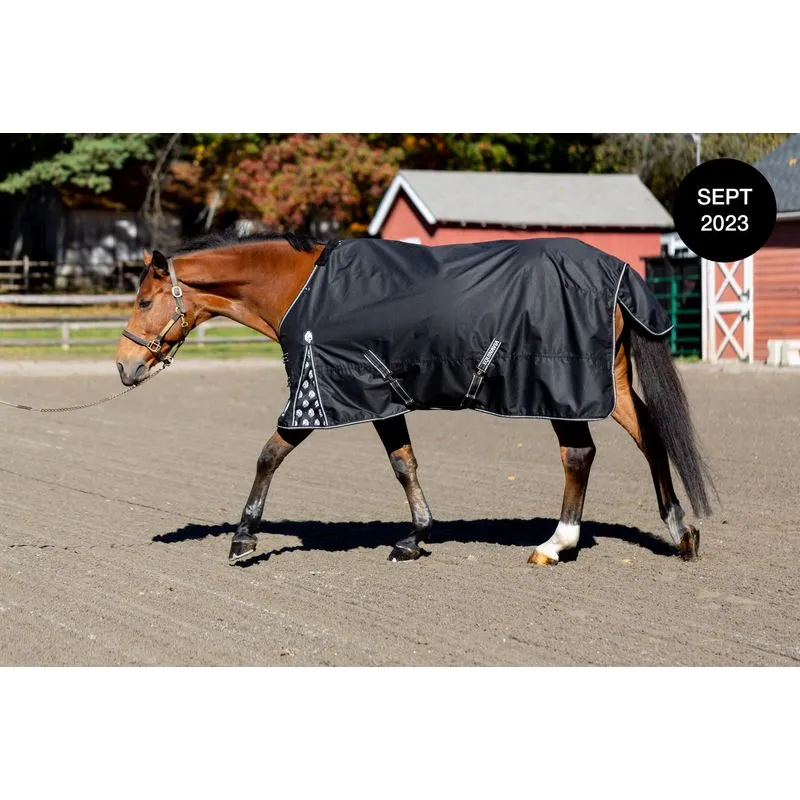 Equinavia Norse Light Weight Turnout Blanket 100g - Black 3 Equinavia Norse Light Weight Turnout Blanket 100g - Black