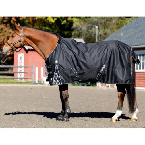 Equinavia Norse Turnout Sheet - Black 6 Equinavia Norse Turnout Sheet - Black -Equinavia Shop 678238 800 800