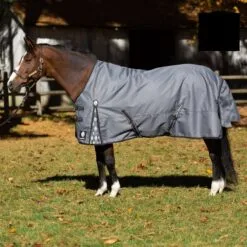 Equinavia Arktis Regular Neck Mid Weight Turnout Blanket 200g - Carbon Gray