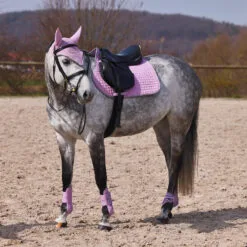 Horze Adepto Tendon Boots - Dawn Pink -Equinavia Shop 6b44c424 48a8 4835 813b 37e3c2a1749219203 DWPI b745f6b1a3e972d26f3bd17003fa060b1fd8a3ae