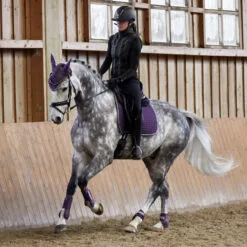 Horze Adepto Tendon Boots - Blackcurrant Purple -Equinavia Shop 6cbcd0be 47bb 4f1a 82d8 b1b3e10baac519203 BLPU ef88e9ac119a4e9454aec33edeb993f694aeb7af