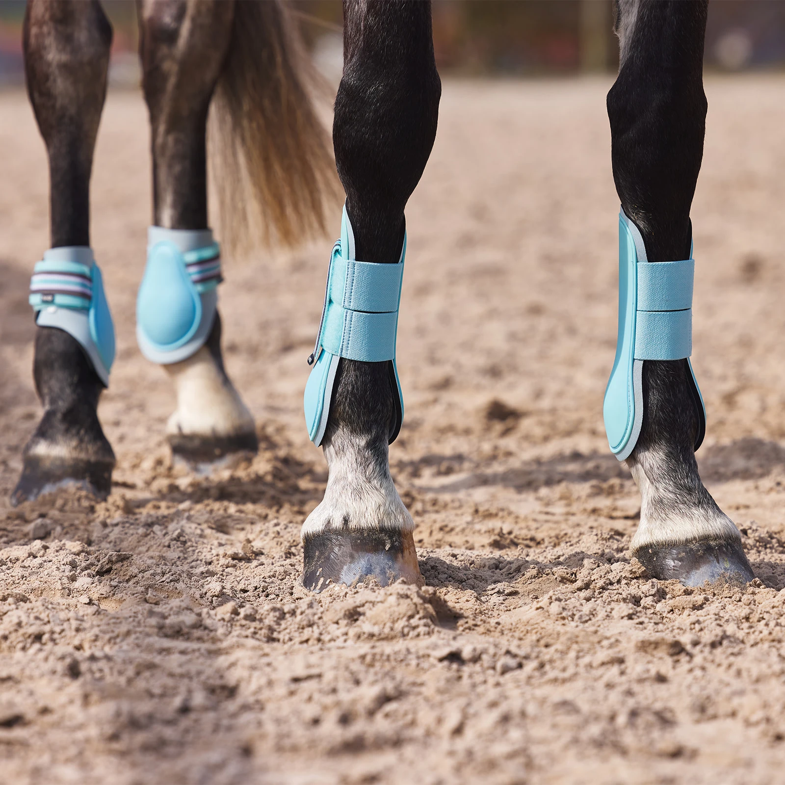 Horze Adepto Fetlock Boots - Canal Blue 4 Horze Adepto Fetlock Boots - Canal Blue - Image 2