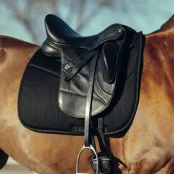 Horze Phoenix Dressage Saddle Pad - Black 13 Horze Phoenix Dressage Saddle Pad - Black -Equinavia Shop 7958beac 44e6 4edf ad69 81669cecc38417295 BL 5a06cd171de563a1f03d68c13fe4dbb8e4f2e609