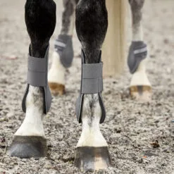 Horze Adepto Tendon Boots - Steel Grey -Equinavia Shop 7df6c947 ffc8 41f0 b406 50ae696b054519203 SG ccdbd8112c946c8f5dd256ad525e4844eb3c0fad