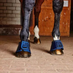 Horze Bell Boots With Glitter - Dark Blue -Equinavia Shop 81f76d27 4b85 424e 8447 d86c7e5723b019714 DB d1f2d6d8e405154430a417d89202dcd36aa4450c