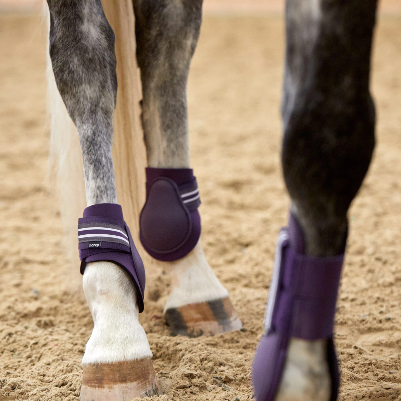 Horze Adepto Fetlock Boots - Blackcurrant Purple 8 Horze Adepto Fetlock Boots - Blackcurrant Purple - Image 6
