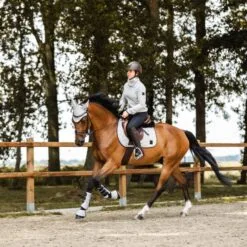 Horze Smoky Twilight Air Mesh All Purpose Saddle Pad - Quiet Grey -Equinavia Shop 8685f26b 6a0f 41cb ade9 34a2bdf43d0f17446 QG f5460aa75ce1de2e19aa52a449c0e7d21e612ba6