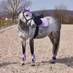 Horze Adepto Tendon Boots - Languid Lavender Purple 20 Horze Adepto Tendon Boots - Languid Lavender Purple -Equinavia Shop 8748c4ee 0c0e 407c 9c4b fdc9fe419b8819203 LVPU 1e2bb273a41306fe64e937d47116bba8f9921f7a
