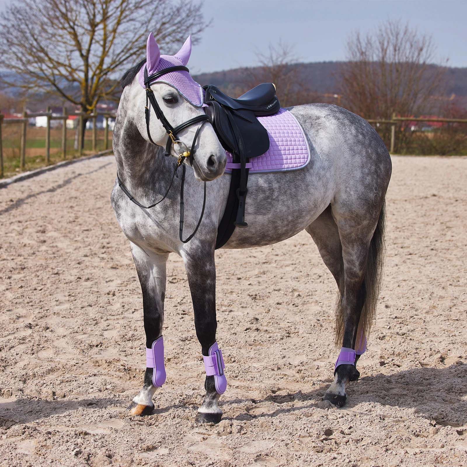Horze Adepto Tendon Boots - Languid Lavender Purple 6 Horze Adepto Tendon Boots - Languid Lavender Purple - Image 4