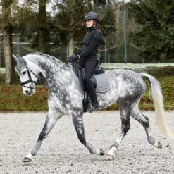 Horze Adepto Fetlock Boots - Steel Grey -Equinavia Shop 87650ecd 5792 438b 9024 244175a6d2ec19213 SG 3237f03f23be37da69f1c84aee6ebe47a21b8201