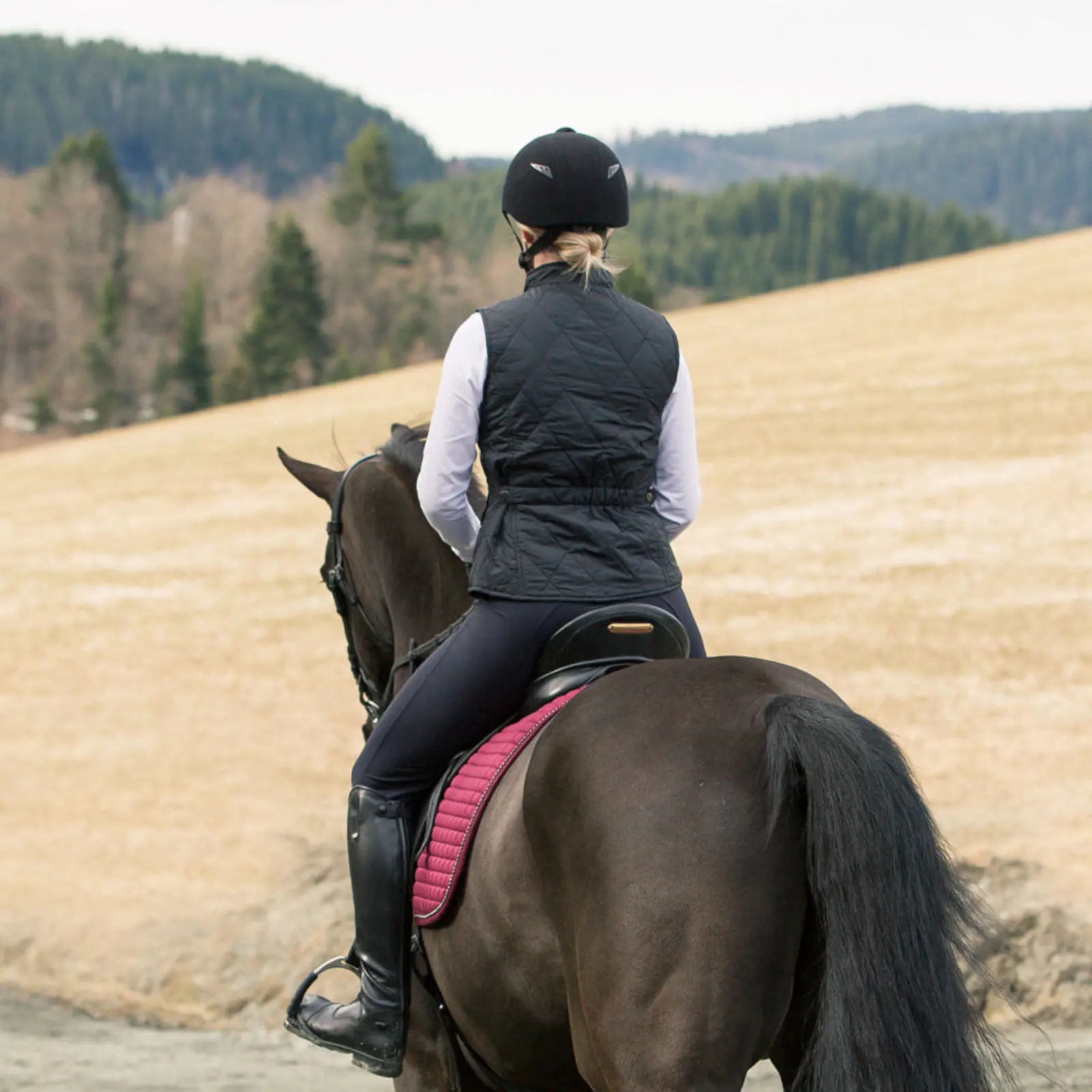 Horze Womens Classic Quilted Vest - Black 4 Horze Womens Classic Quilted Vest - Black - Image 2