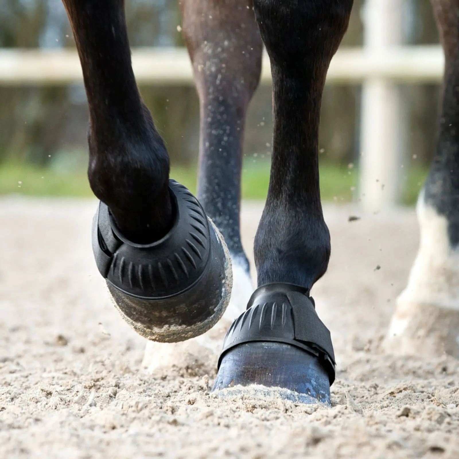 Horze No Turn Heavy Duty Bell Boots - Black 17 Horze No Turn Heavy Duty Bell Boots - Black - Image 15